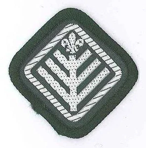 Scouts británicos/reino unido años 1980 - insignia scout estándar premio scout - Imagen 1 de 1