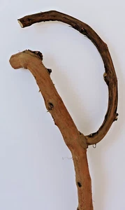 24" Grapevine Wood Stick Driftwood Multi Branch Crafts Y Forked 13/16~15/16"D - Picture 1 of 11