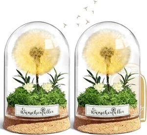 Wunscherfüller mit LED Licht, Echte Pusteblume im Glass, Ewig Geburtstagsgeschen - Bild 1 von 7