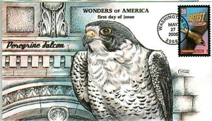 COLLINS PINTADO A MANO 4057 Halcón Peregrino Pájaro Más Rápido - Imagen 1 de 1