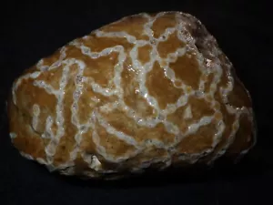 Grande catena corallo elisite 1 libbra 2,1 oz - Foto 1 di 5
