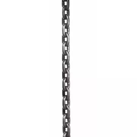 Polipasto de cadena de carga Dayton Ggs_56925 Foto 1 de 1