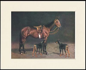 DOBERMANN PINSCHER HUNDE UND PFERD TOLLER HUNDEDRUCK MONTIERT RAHMENFERTIG - Bild 1 von 1