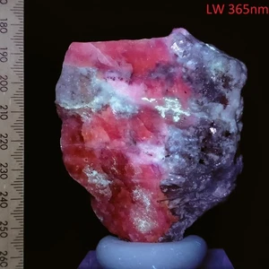 Sodalite Hackmanite Phlogopite Uranyl long & short wave mineral specimen 850ct - Picture 1 of 10