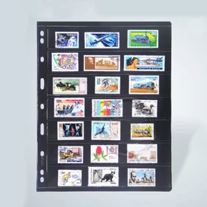 Stamp Stock Pages PCCB Stampspage 7 Strips Album PVC Leaf Collection Holder   - Picture 1 of 3