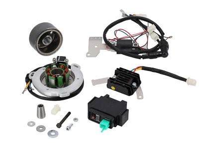 Rennzündung RZT Zündung Delta 21 M10L - für MZ ETZ125/150/250/251/300 - Bild 1 von 4