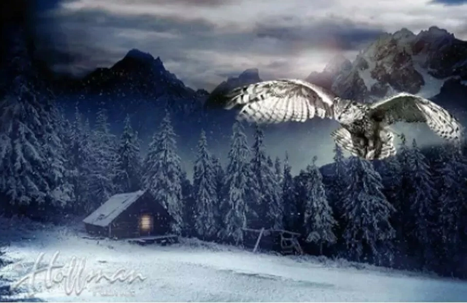 Hoffman Call Of The Wild Winter Woods Cabin Owl Quilt Panel 27" x 43" - Image 1 of 1