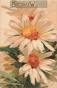 Klein Daisy Flowers Postcard Artist Signed Birthday Wish c 1910   Y9 - Picture 1 of 2