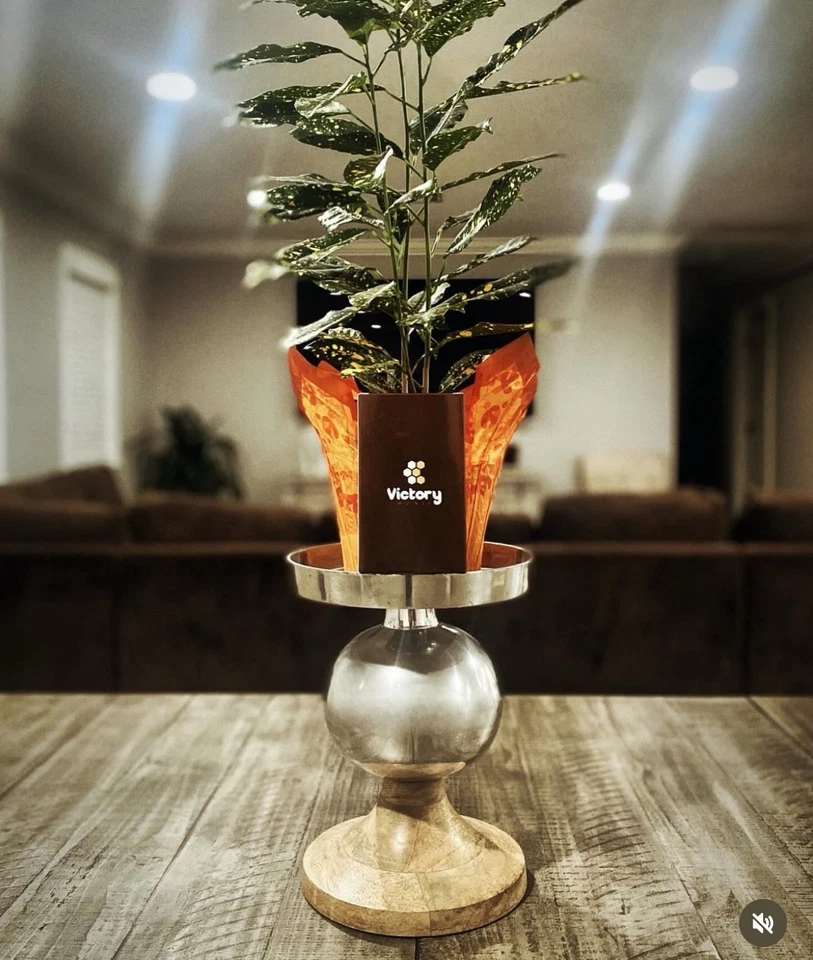 Pack de 12 paquetes de miel Foto 1 de 3