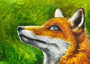 Watercolor Painting Red Fox Animals ACEO Art | - Picture 1 of 2