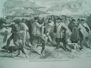 Gravure 1865 - Marché de Poissy concours choix des boeufs gras - Picture 1 of 1