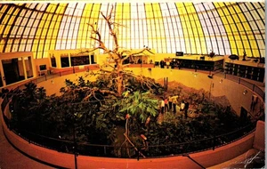 Vintage Black Hills Rapid City South Dakota SD Postcard Sky Dome - Picture 1 of 3