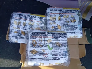 Home Depot Blooming Bilderrahmen Kinder Werkstatt Set und 2 Grill Geschenkboxen mit Stift - Bild 1 von 4