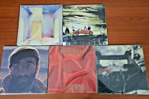 RACCOLTA LP 5 VINILI 180GR VASCO -DALLA- GUCCINI edicola nuovi sigillati - Imagen 1 de 12