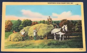Greetings from Shady Side, MD Postcard - Picture 1 of 2