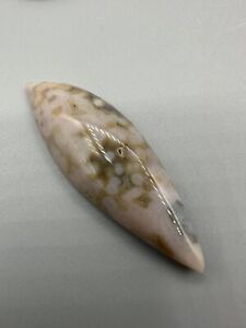 Pink Ocean Jasper Cabochon Old Stock Ships From North America