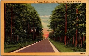 1930-45 Postkarte Durch die Kiefern auf dem Highway nach Rehoboth Beach Delaware DE - Bild 1 von 3