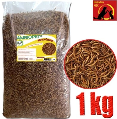 Ambiopet Mehlwürmer getrocknet 1 kg Nager Vögel Reptilien Fisch Igel Koifutter - Bild 1 von 2