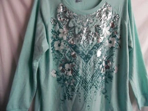 -CREW NECK RAGLAN SWEATSHIRT LONG SLEEVE GRAPHIC MINT POLY RAYON FRENCH TERRY 3X - Picture 1 of 11
