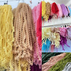 5 Yards Gauze Pleated Edge Gathered Ribbon Frilled Lace Trim Sewing/Crafts