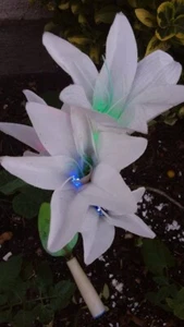 Solar Tulip Flower Lights - Picture 1 of 3