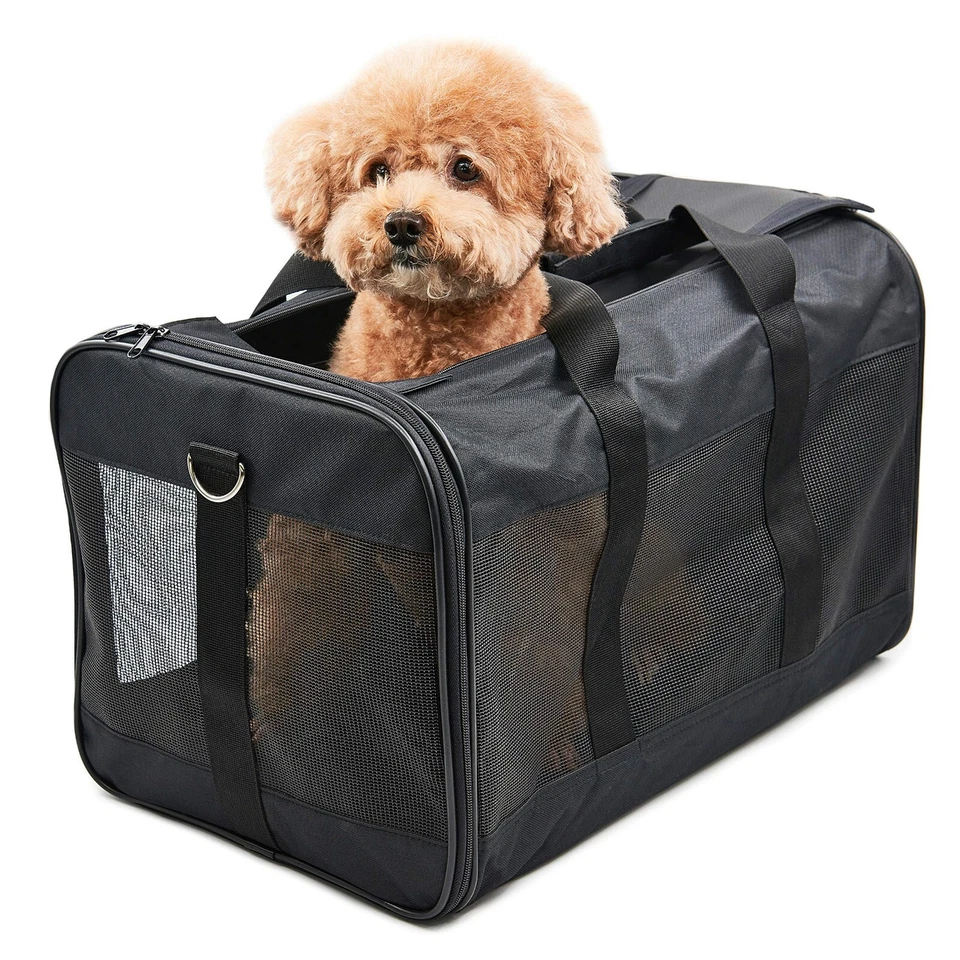 ScratchMe Pet Travel Carrier nie benutzt offener Karton - Bild 1 von 1
