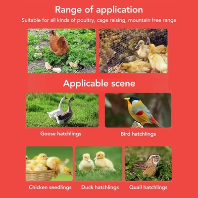 Chick Feeder Kit Sturdy Automatic Feeding For Poultry Plastic 160g/5.6oz - Bild 1 von 4