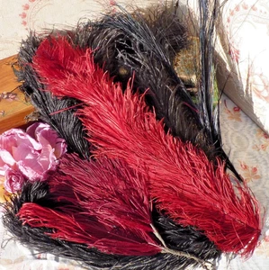 KONVOLUT 7 ALTE STRAUSSENFEDERN und REIHER, ALTER HUT - MODESCHÖPFERBESTAND - Bild 1 von 14