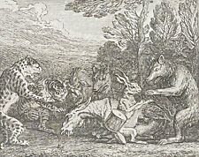 L' Âne And The Hare Per Claude Gillott (1673-1722) Engraving 1719 France