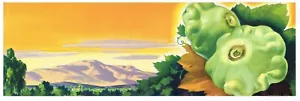 ORIGINAL 1930ER VINTAGE LAGERKISTE ETIKETT PLEIN AIR CALIFORNIA SZENE SQUASH - Bild 1 von 1