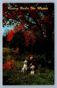 Postcard Vtg People Adults Resting Under Maples Hunter And His Dog Ozarks - Picture 1 of 2