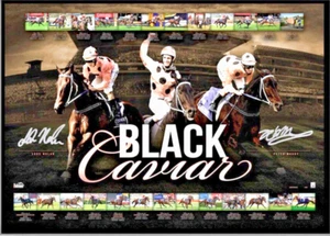 Black Caviar Farewell to a Legend Retirement Limited Edition Print Phar Lap Winx - Picture 1 of 1