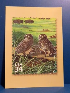 Great Plains Prairie : Burrowing Owl, 2001 USPS 5" x 7" Postcard, Joes CO - Picture 1 of 3