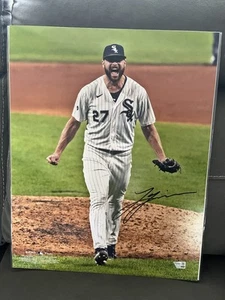 Chicago White Sox Lucas Giolito Signed 16x20 Photo No Hitter Fanatics COA Jersey - Picture 1 of 4