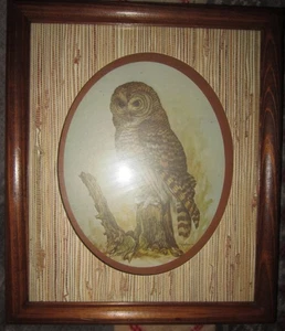 Homco Wooden Owl Wall Picture Signed E Rambow glass shadow box frame vtg unusual - Picture 1 of 2