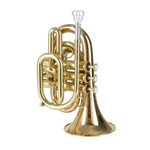 Tromba tascabile Carol Brass CPT3000-GLS-BB-L - tromba - Foto 1 di 8