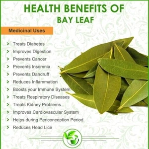 Organic Bay Leaves 20 Pack, Whole and Bulk Freshly Dried Aromatic Culinary Herb - Picture 1 of 8