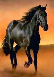 HORSE BEAUTIFUL BLACK HORSE GREETING NOTE CARD - Foto 1 di 1
