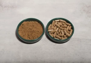 AJUGA TURKESTANICA 20:1 Estratto - Turkesterone - 60 (500mg) capsule - Foto 1 di 3