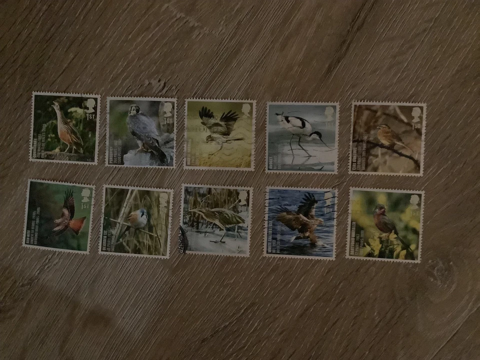 GB 2007 Action For Species Birds used set stamps off paper - Image 1 of 1