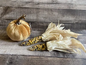 Juego de decoración de otoño terciopelo calabaza y reliquia cultivada orgánicamente vidrio gema maíz - Imagen 1 de 3