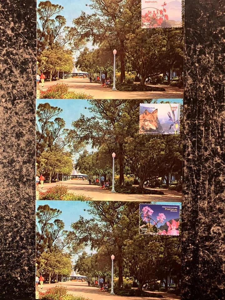 Portugal 1999 - Faro Postcard with Europa stamps set fdc Faro - Image 1 of 1