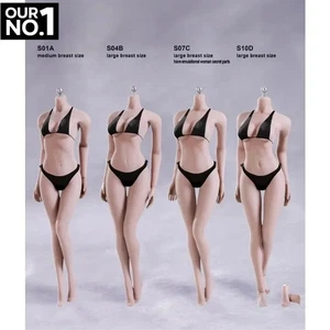 1/6 TBL Seamless Female Body S01A S04B S07C S10D Pale/Suntan for 12'' Figure" - Picture 1 of 14