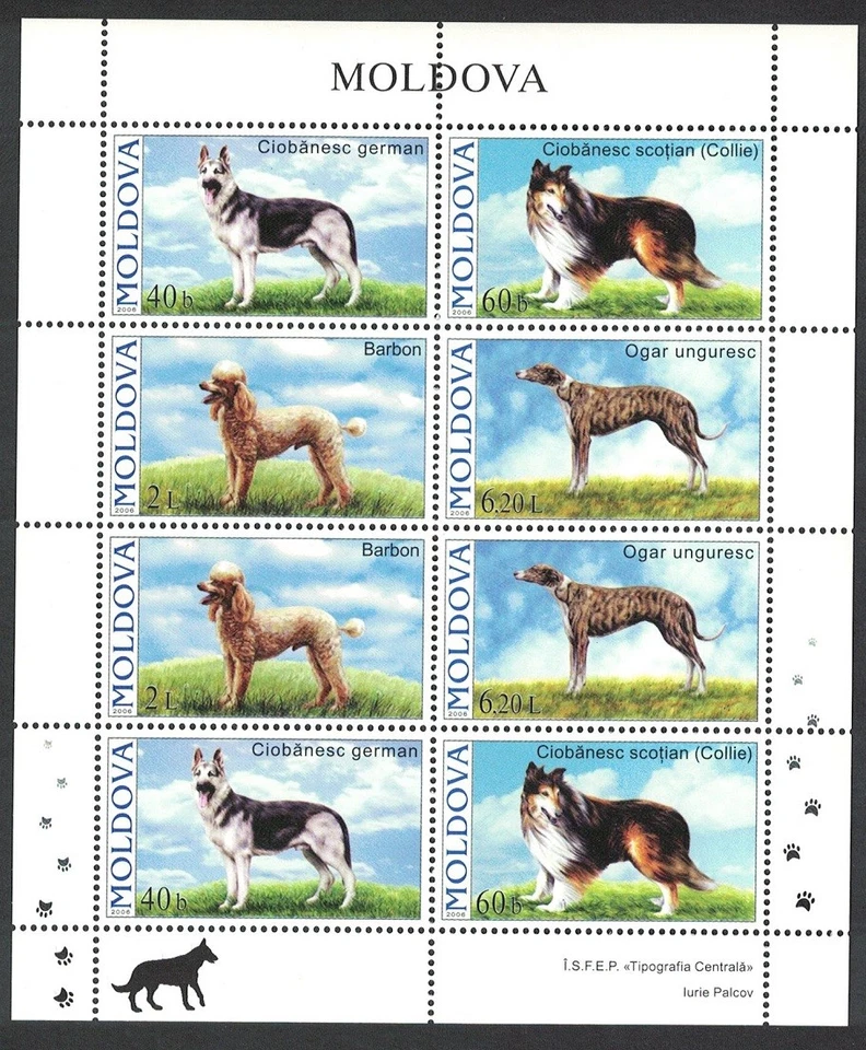Hoja Moldova Dogs 4v 2006 MNH SG#557-560 Foto 1 de 1