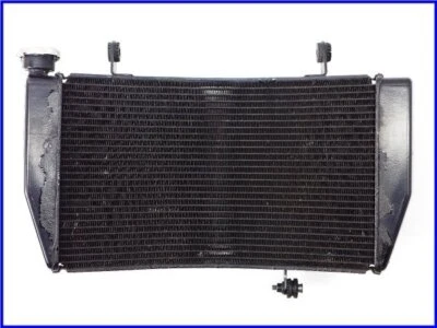 6x05ND46 DUCATI 2013 848 EVO CORSE SE Genuine Radiator 1098 1098S 1198 1198S - Image 1 of 4