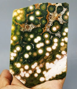 Collection ! Amazing Orbicular Ocean Jasper Agate Small Druzy Slab Reiki Stone - Picture 1 of 12
