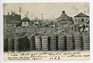 Antigua postal Nueva Orleans escena dique algodón empacado parte posterior indivisa publicada 1905 - Imagen 1 de 2
