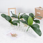 Orchid Leaves Artificial Phalaenopsis Stems And Leaves Bulk Home Decor1. Arti ny