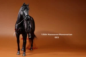 JXK 003 Germany Hanover Horse 1/6 Figurines Limited Animal Models Painted Statue - Picture 1 of 3