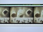 DUNE : DEUXIÈME PARTIE LOT DE 8 CADRES DE CELLULES FILM IMAX 15/70MM **RARE**